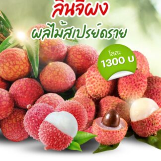 ผงลิ้นจี่ (Lynchee Spaydry Powder)