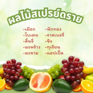 ผลไม้สเปรย์ดราย (Fruit Spay Dried Powder)